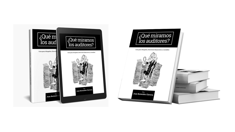 Guía Auditoría ¿Qué miramos los Auditores?